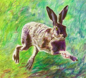 Lièvre joyeux, 2011 - Helen White